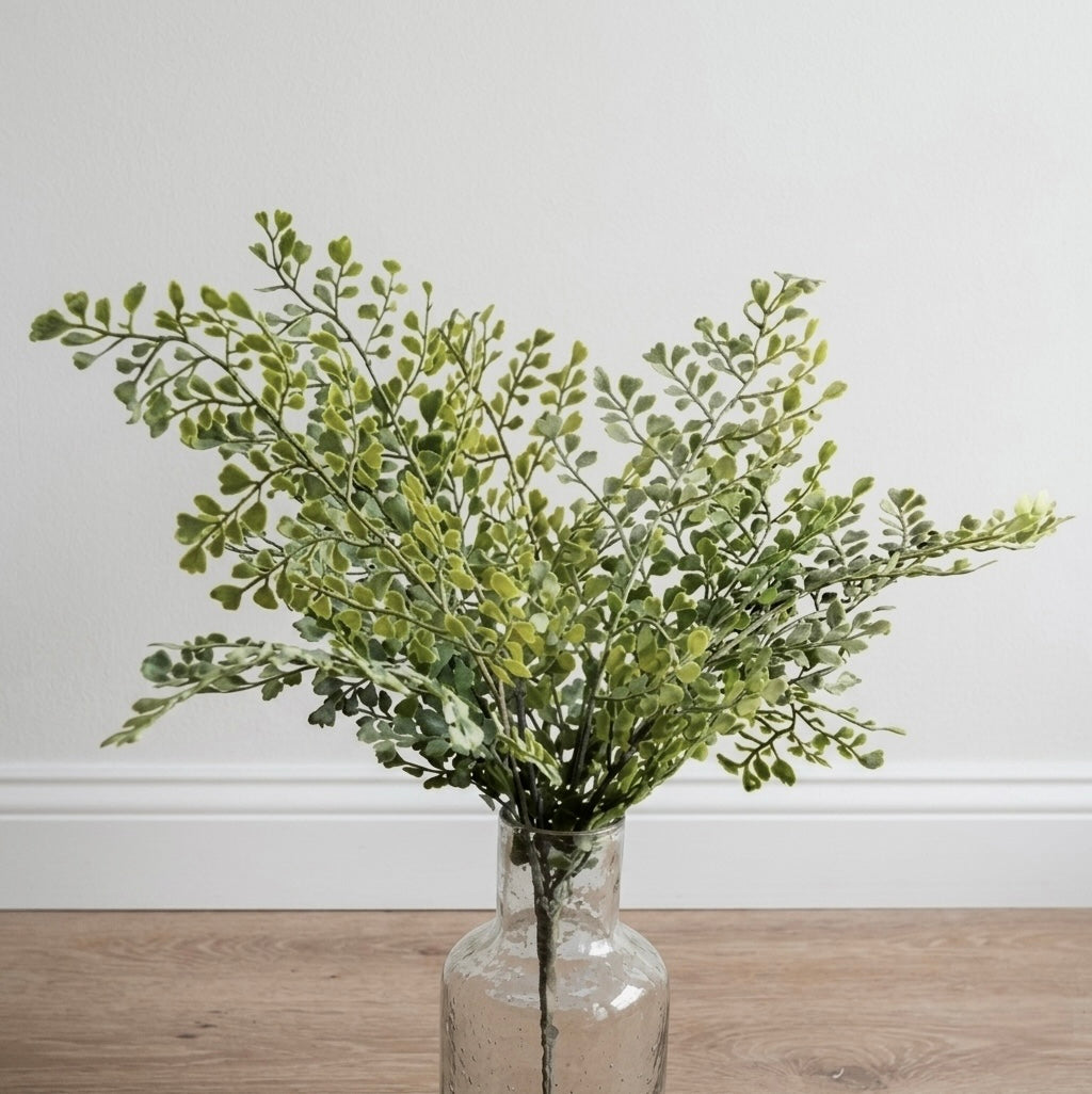 Coriander Leaf Bush