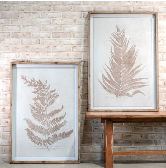 Framed Fern Pattern Print