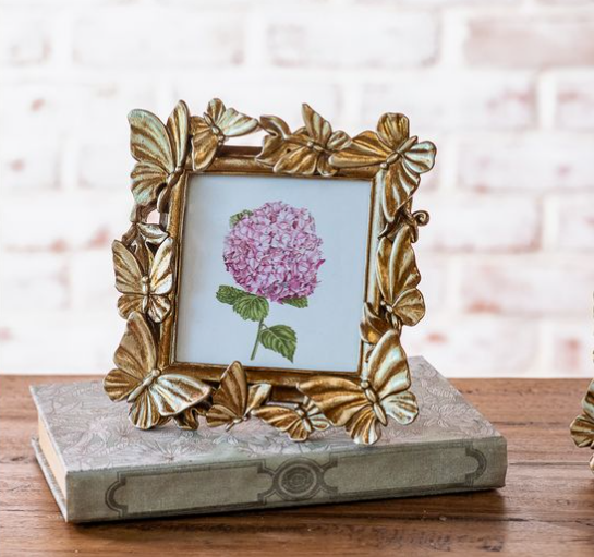 Butterfly Picture Frame