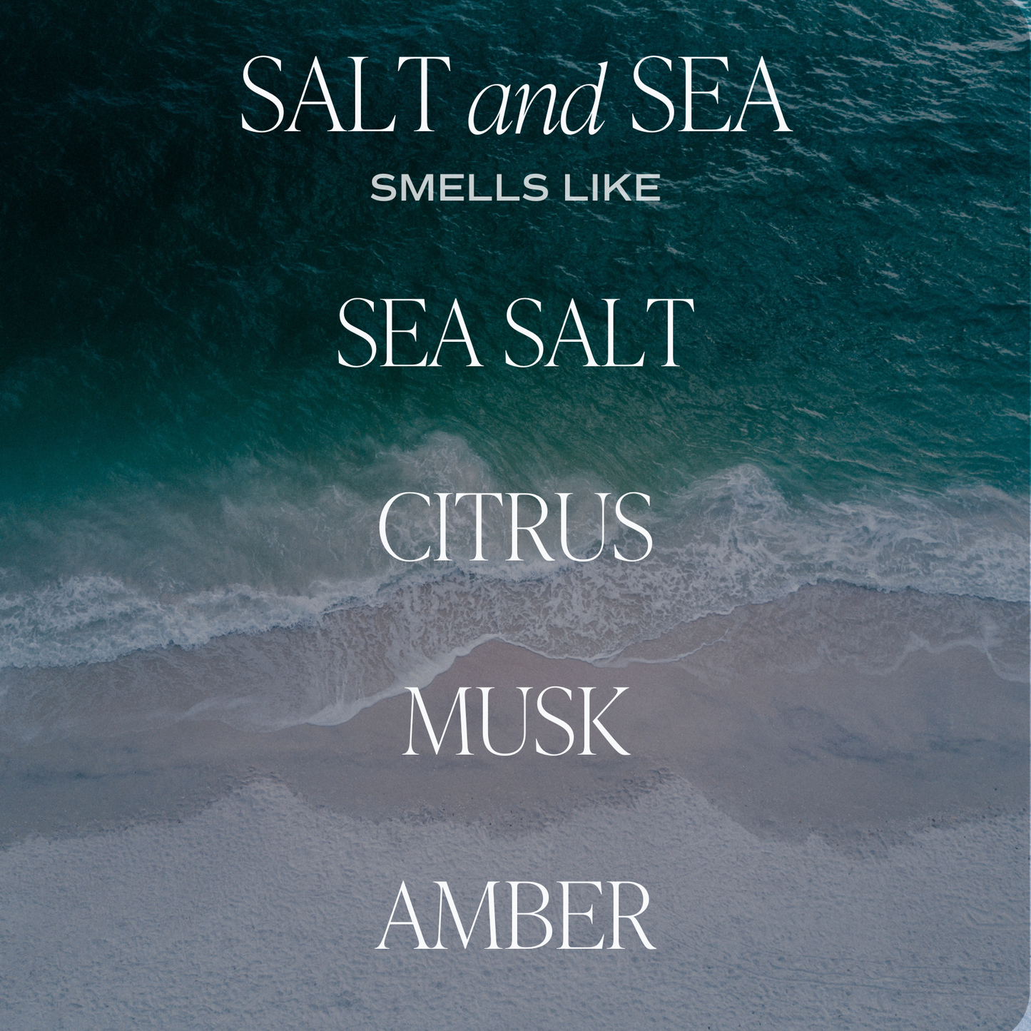 Car Air Freshener - Salt & Sea