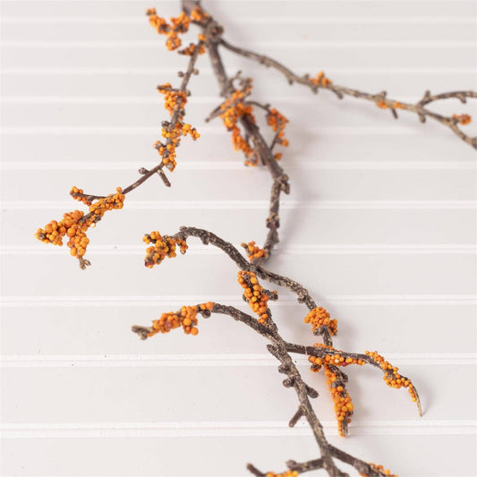 Orange Berries Stem