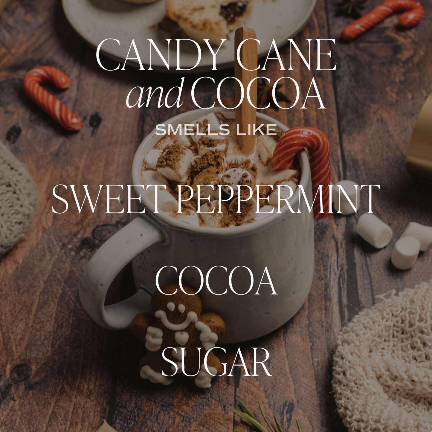 Candy Cane + Cocoa Soy Candle