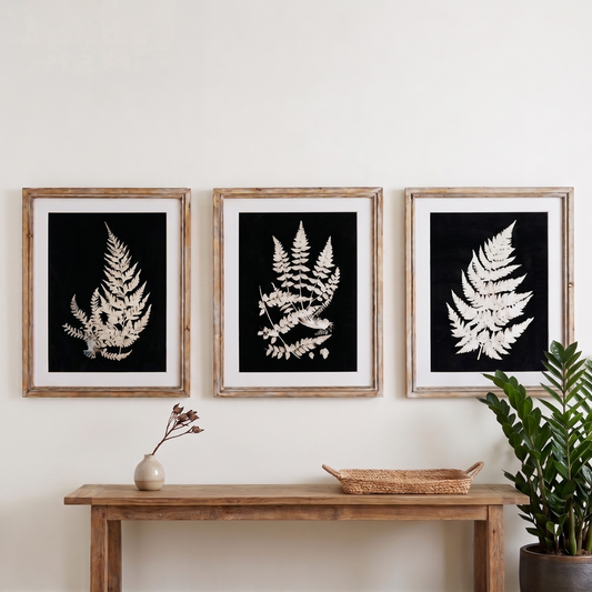 Assorted Framed Fern Print