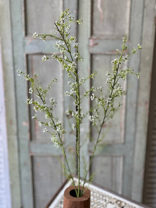 Chelsea Flower Stem