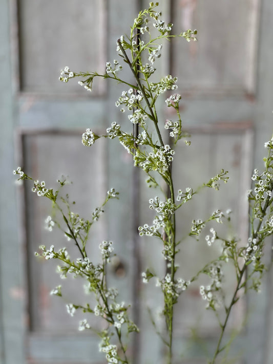 Chelsea Flower Stem