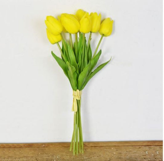 Yellow Tulip Bundle