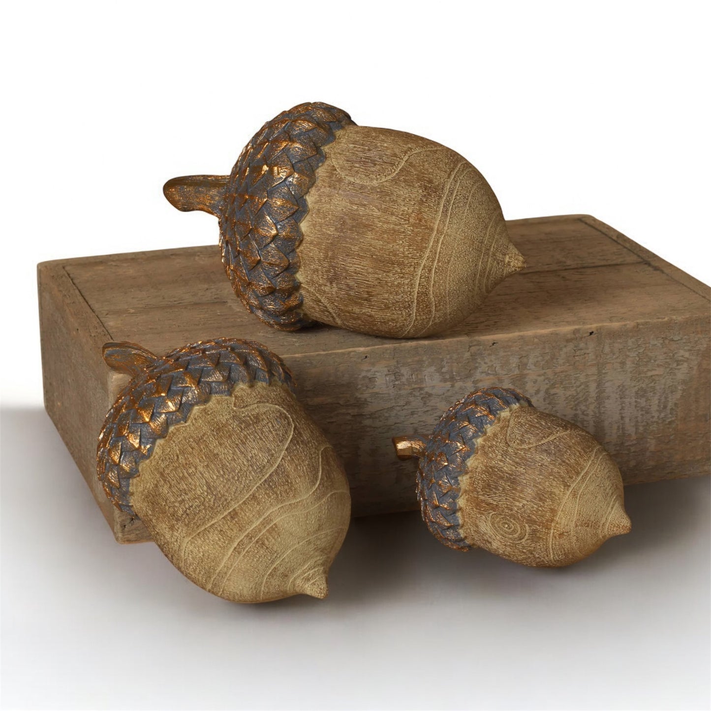 Harvest Acorn