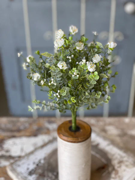 Eden Stem
