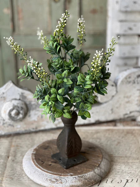 Pinch Berries Bush