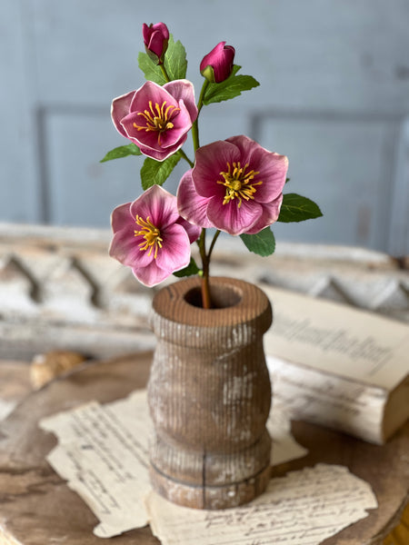 Pink Rosette Stem
