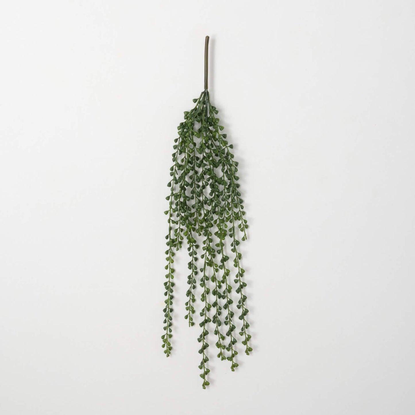 Draping Vine
