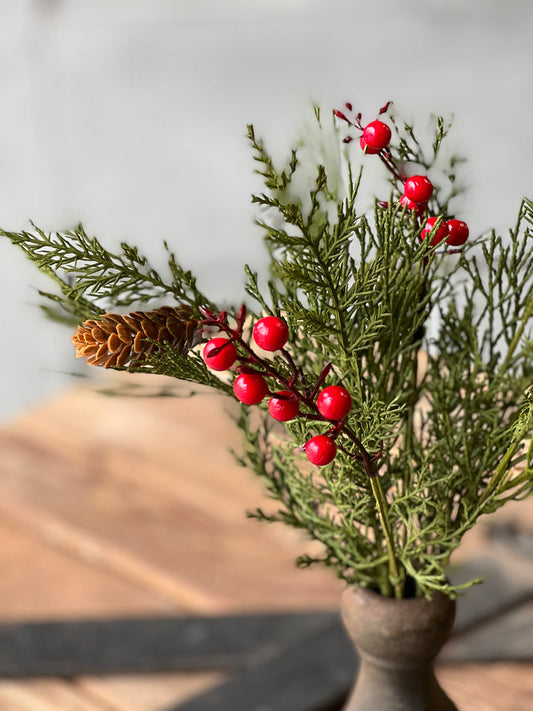 Alpine and Berry Pick