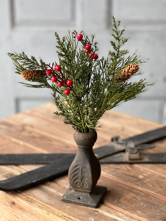 Alpine and Berry Pick