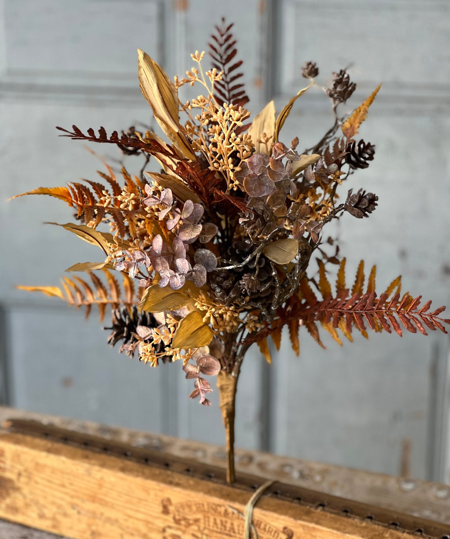 Falling Fern Bush