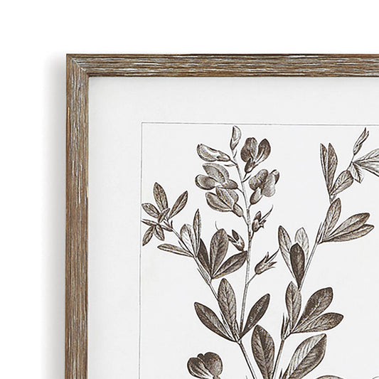 Framed Foliage Print