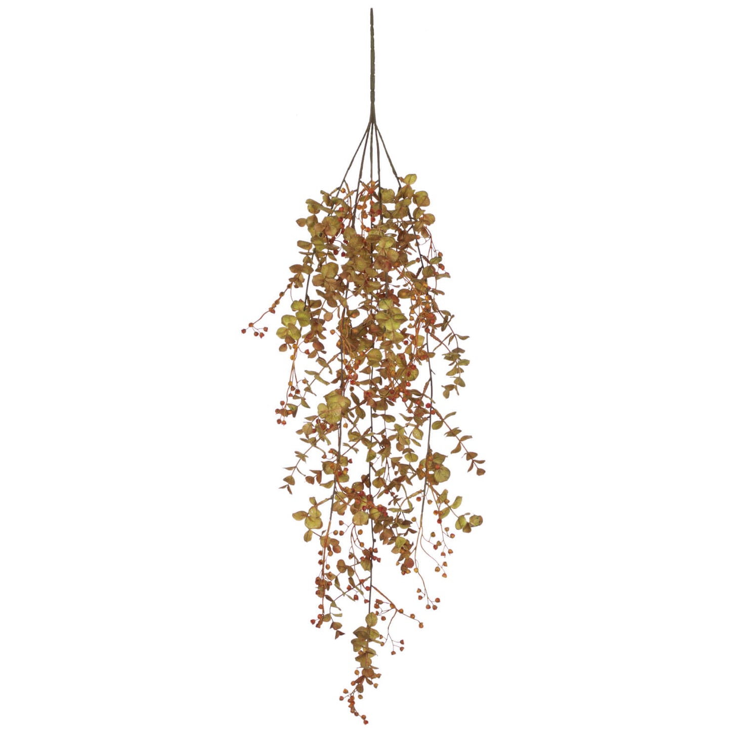 Autumn Eucalyptus Vine