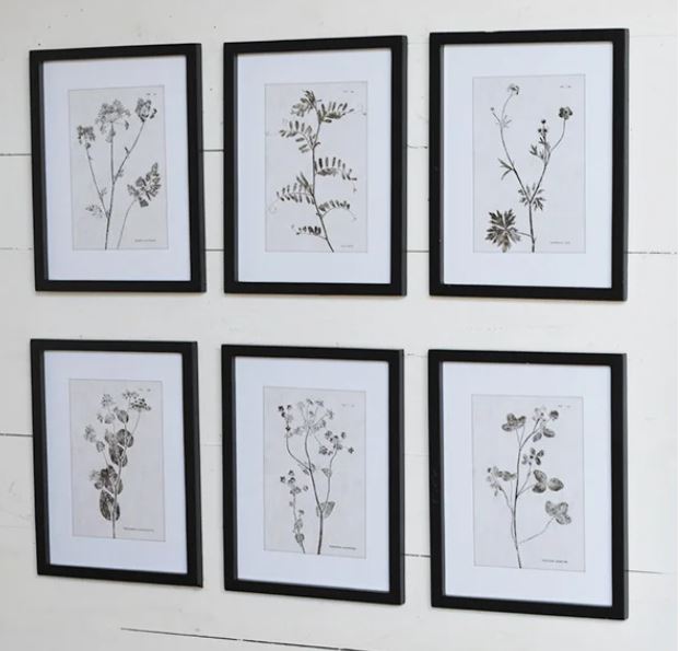 Botanical Wall Print