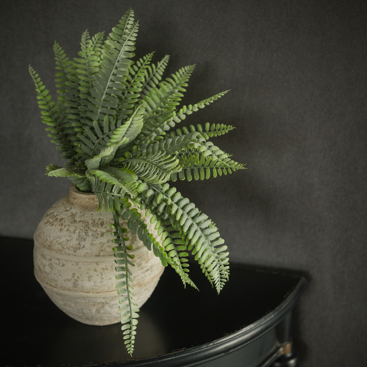 Fern Bush