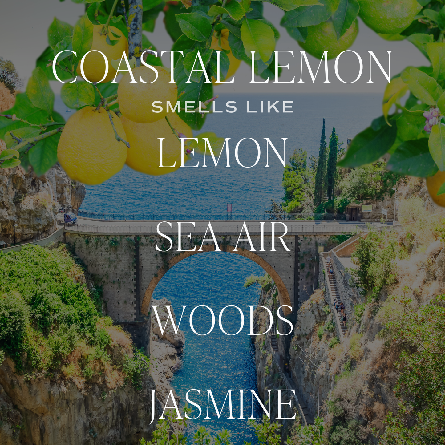 Coastal Lemon 12oz Candle