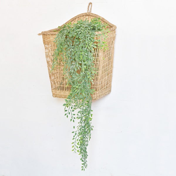 Caddy Hanging Vine
