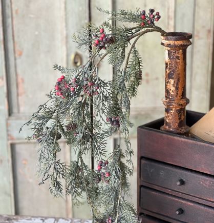 Cypress and Berry Hanging Branch