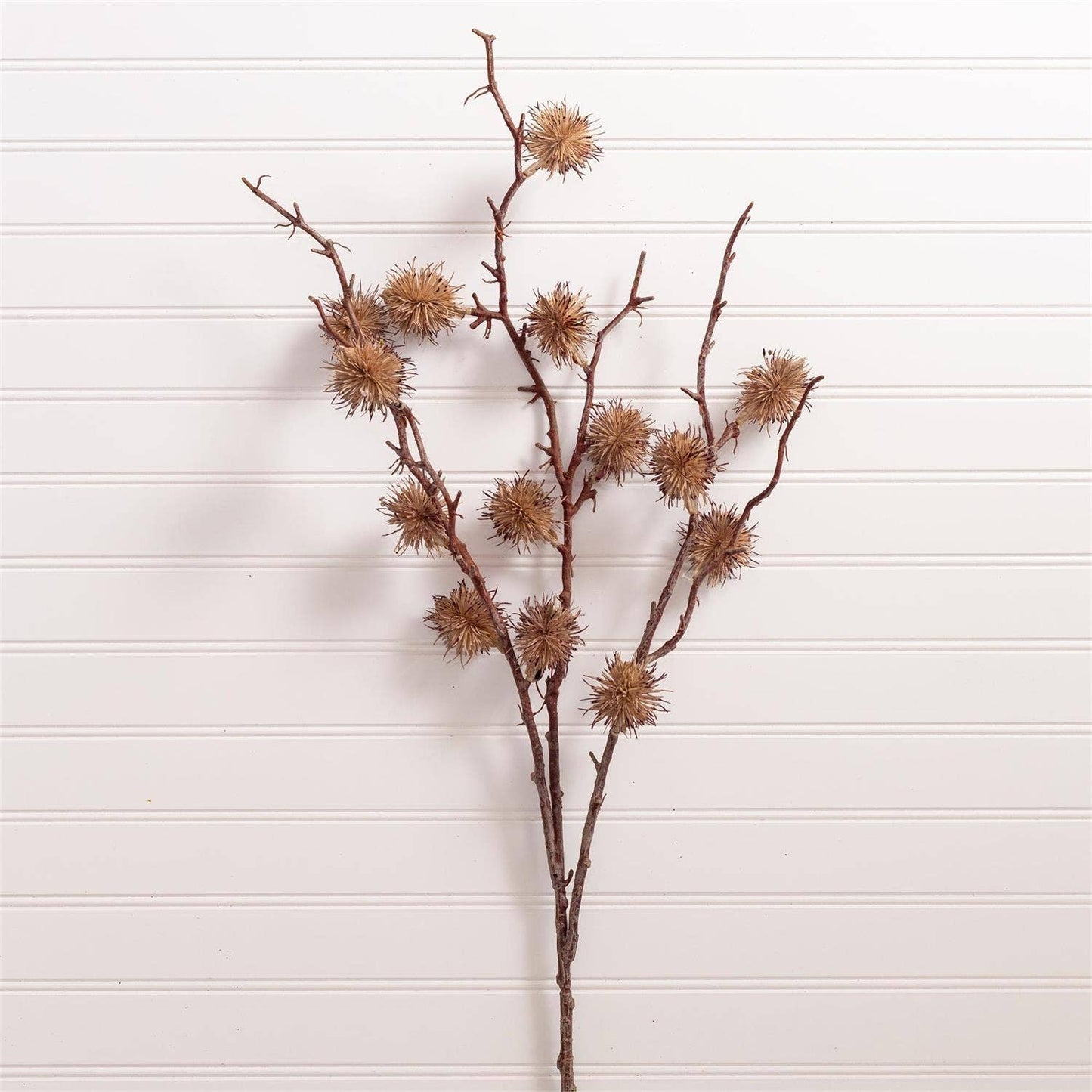 Autumn Pod Stem