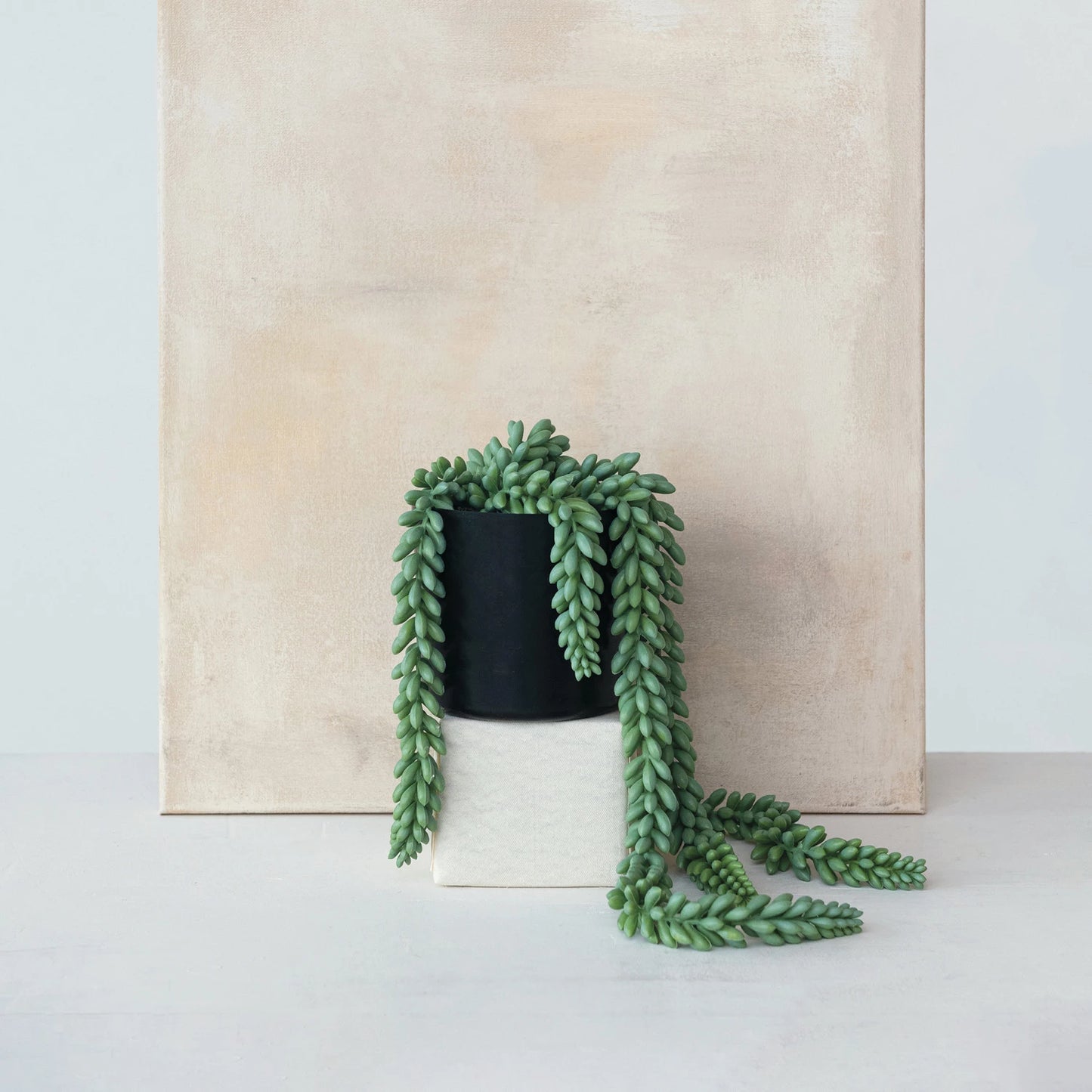 Faux Trailing Plant