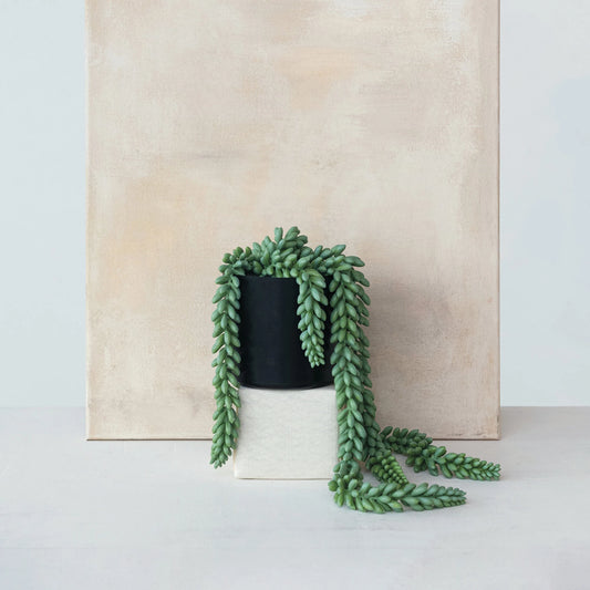 Faux Trailing Plant
