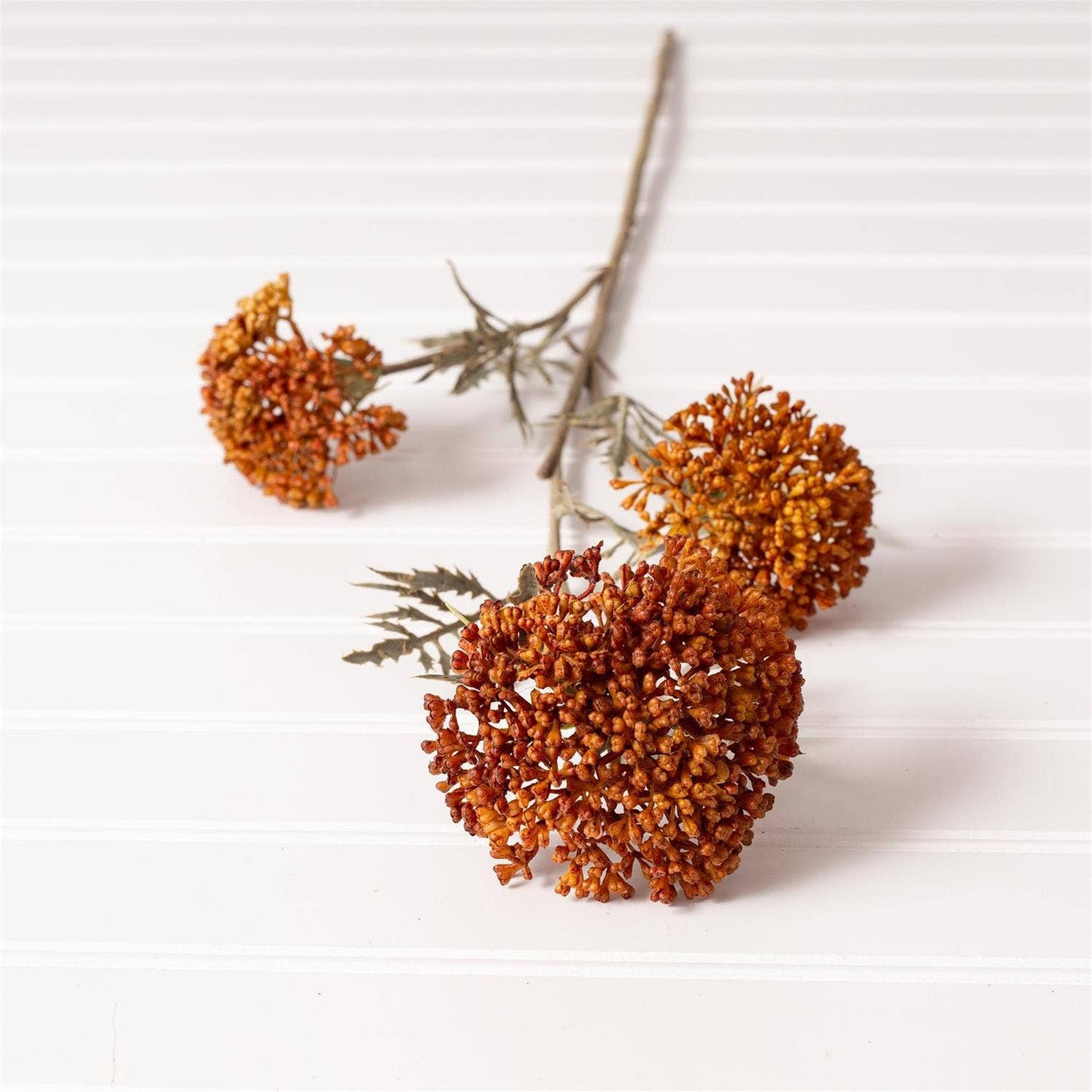 Fall Yarrow Stem