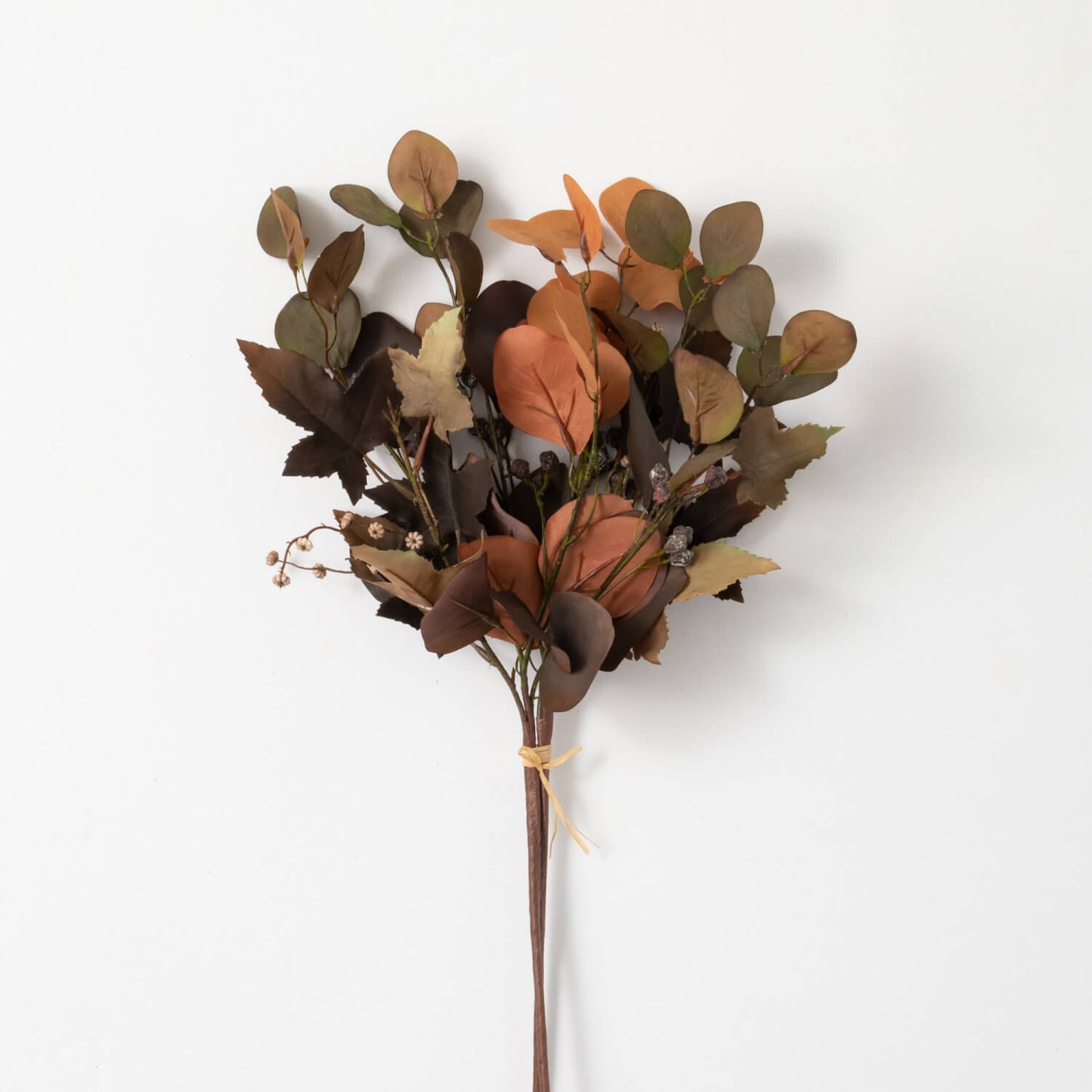 Fall Eucalyptus Stem