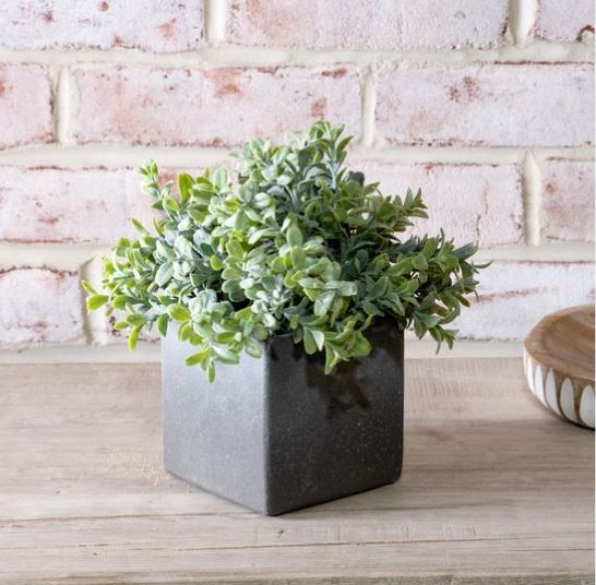 Faux Bonsai Plant