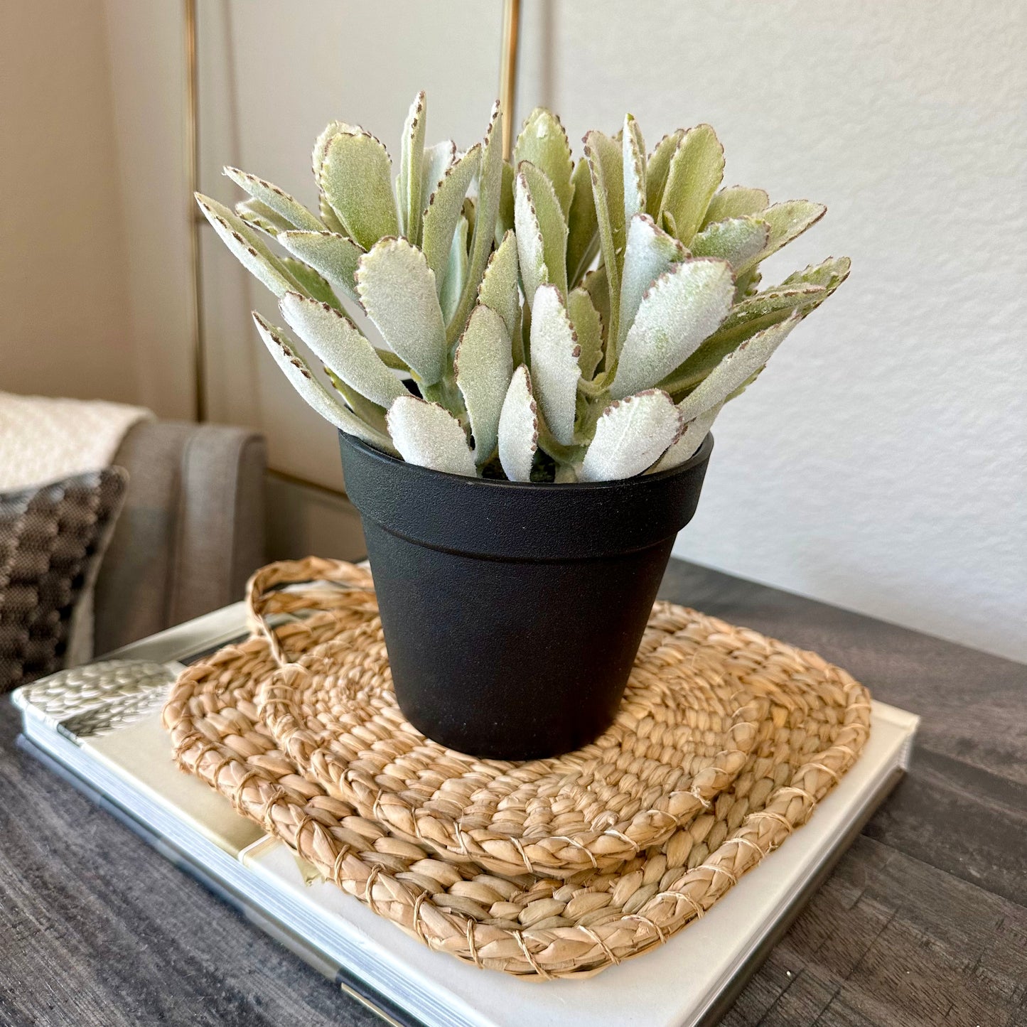 Woven Trivet