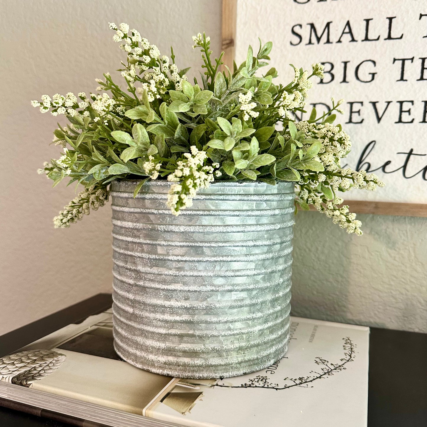 Dixie Planter