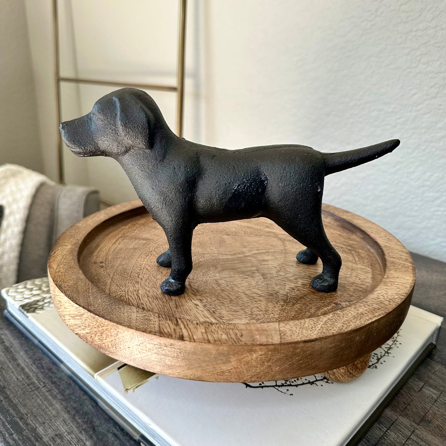Cast Iron Lab