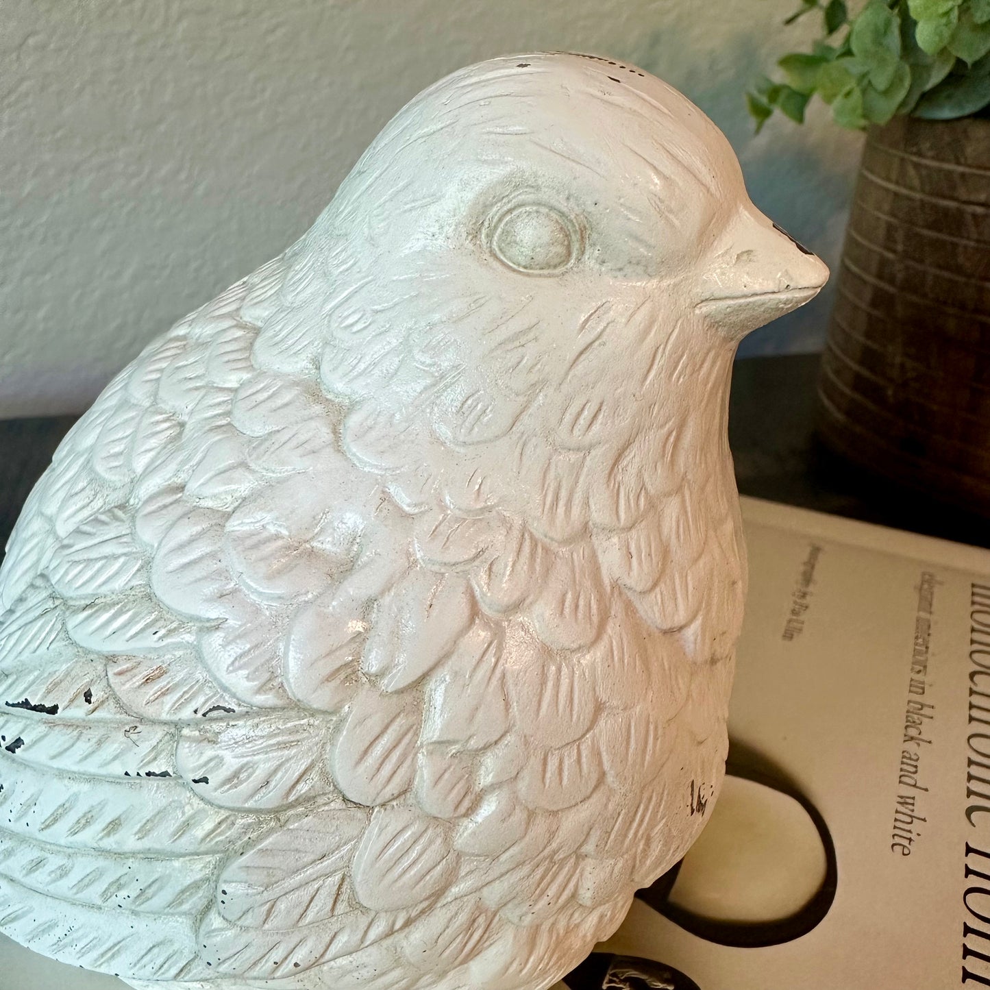 White Spring Bird