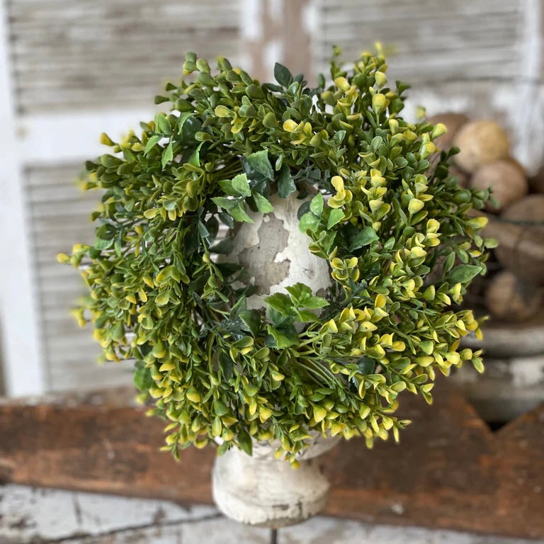 Boxwood Candle Ring