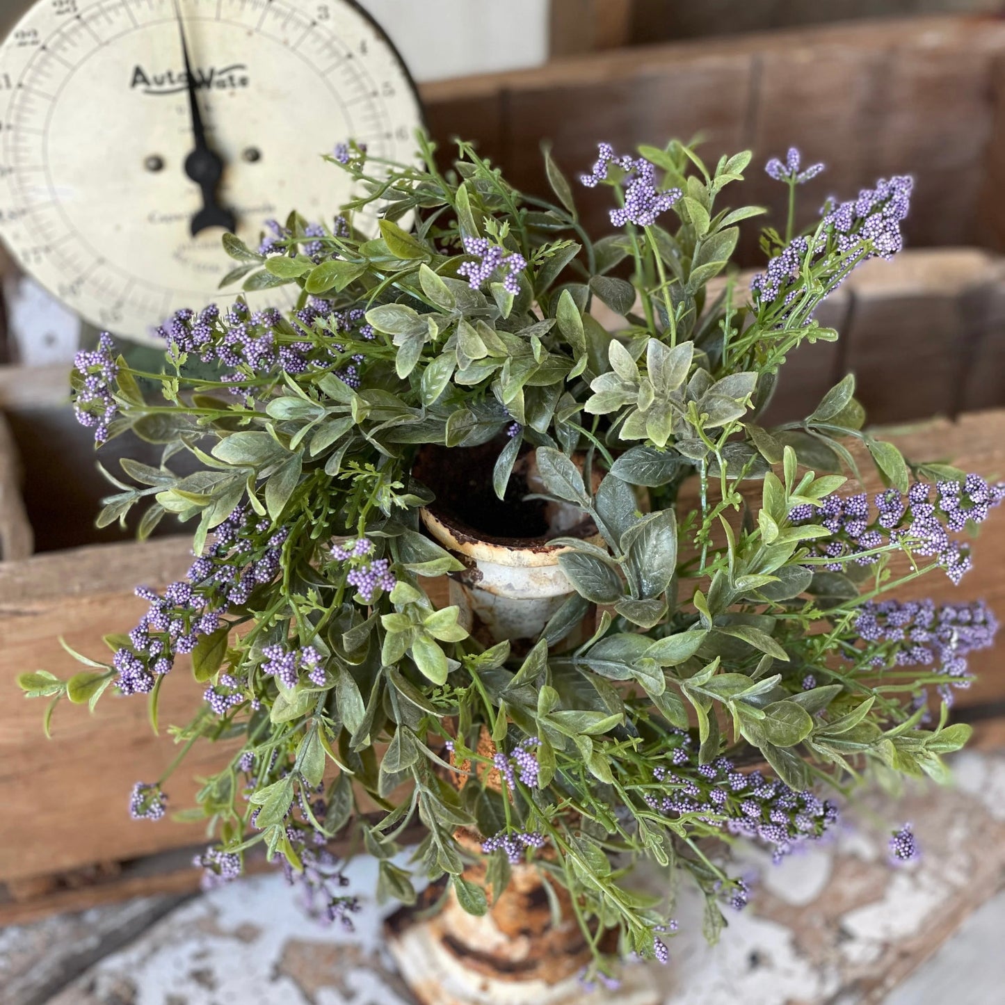 Sweetspire Candle Ring