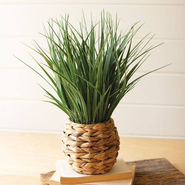 Marvin Faux Plant