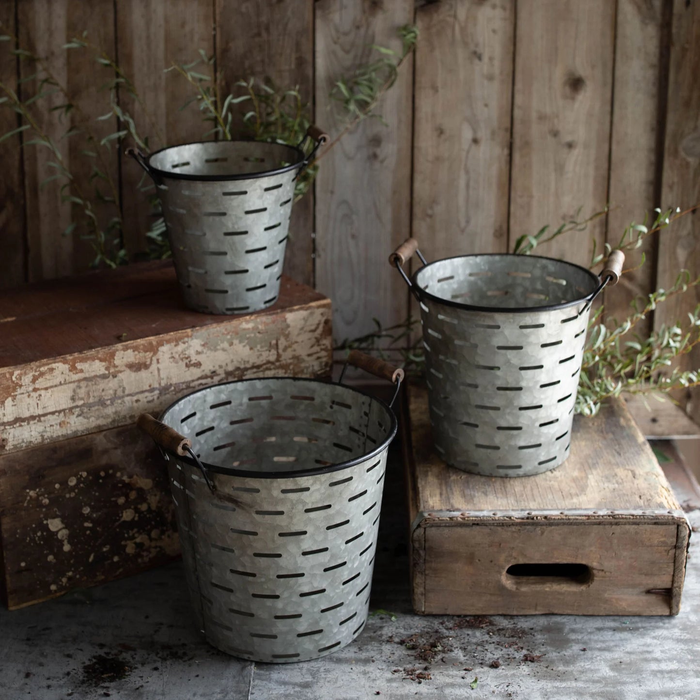 Olive Bucket