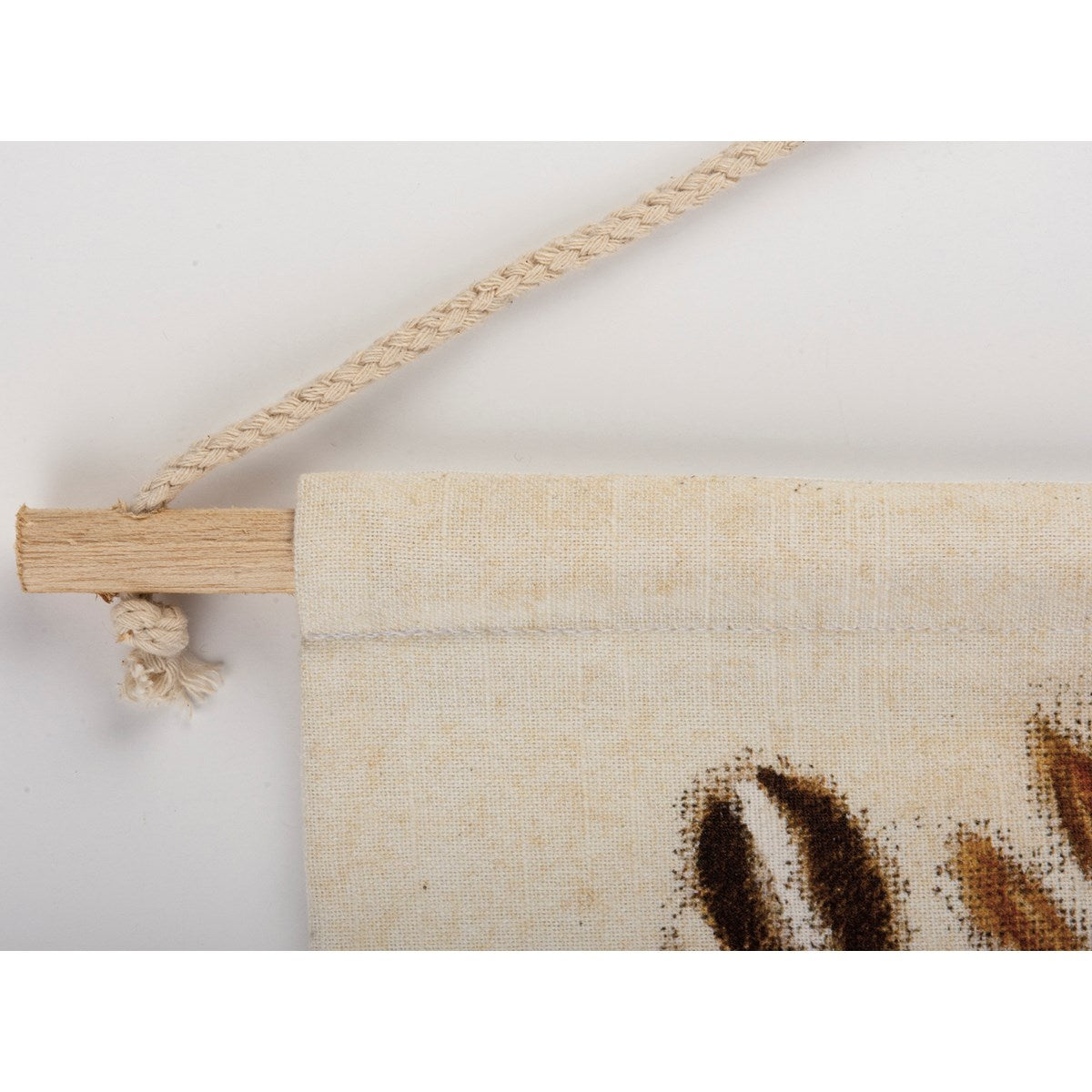 Hanging Pumpkin Canvas