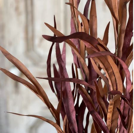 Harvest Bush
