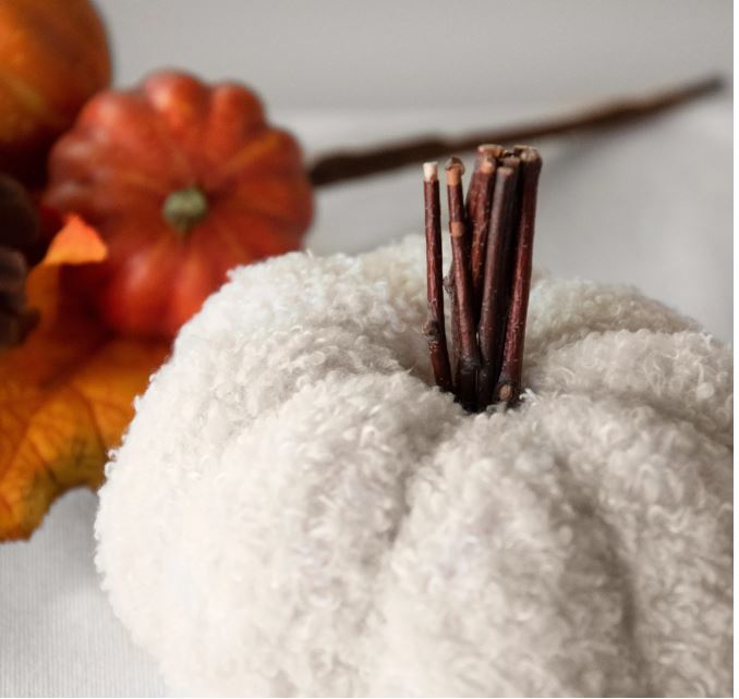Teddy Plush Pumpkin