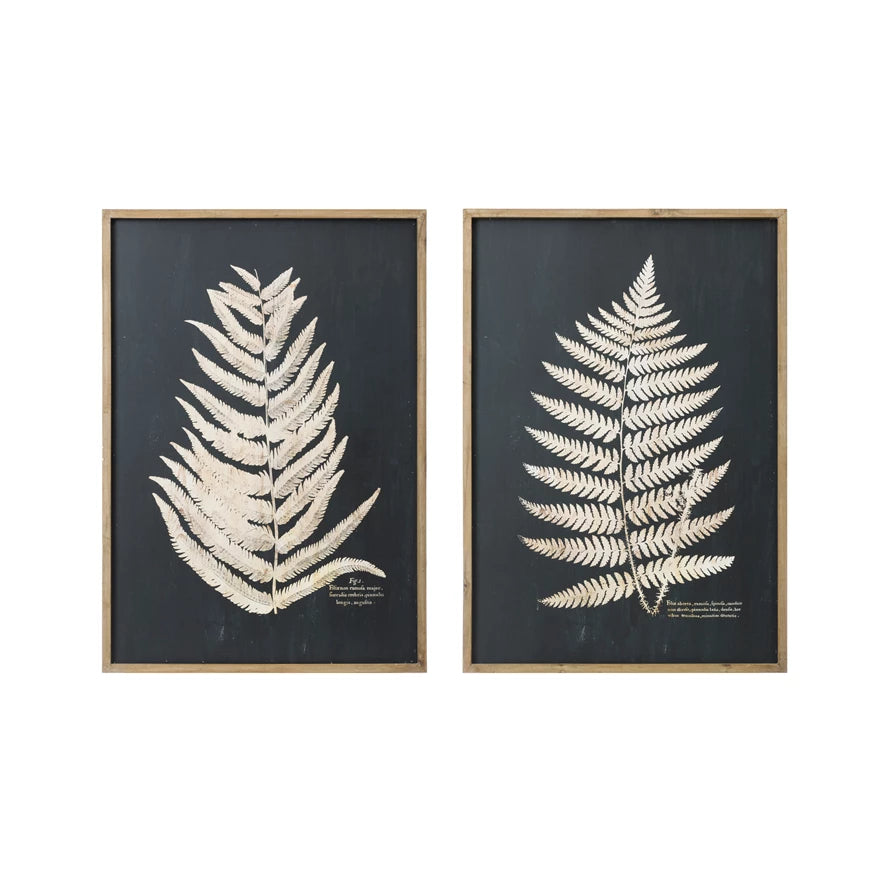 XL Framed Fern Print