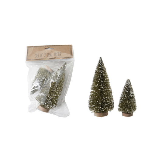 Sisal Bottle Brush Tree with Wood Bases, Snow Finish, Set of 2