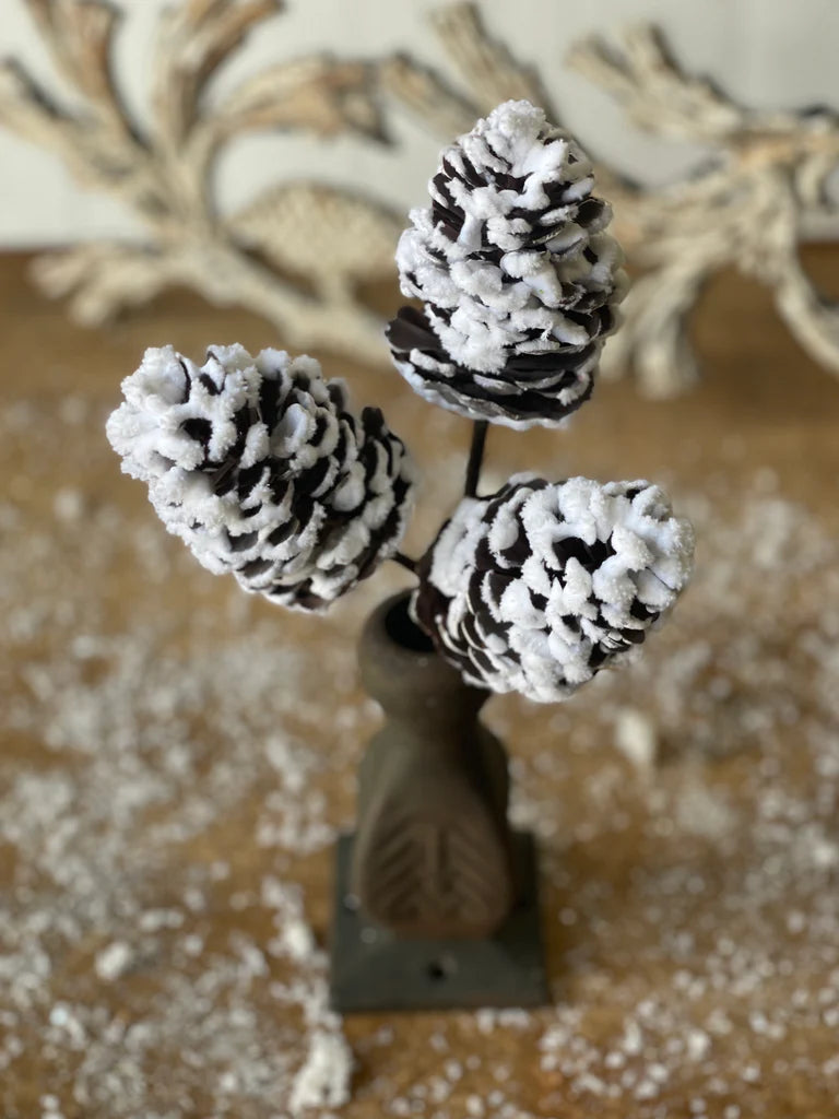 S/3 Flocked Pinecones