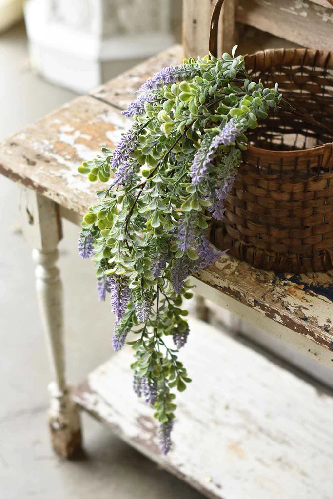 Purple Sage Hanging Branch