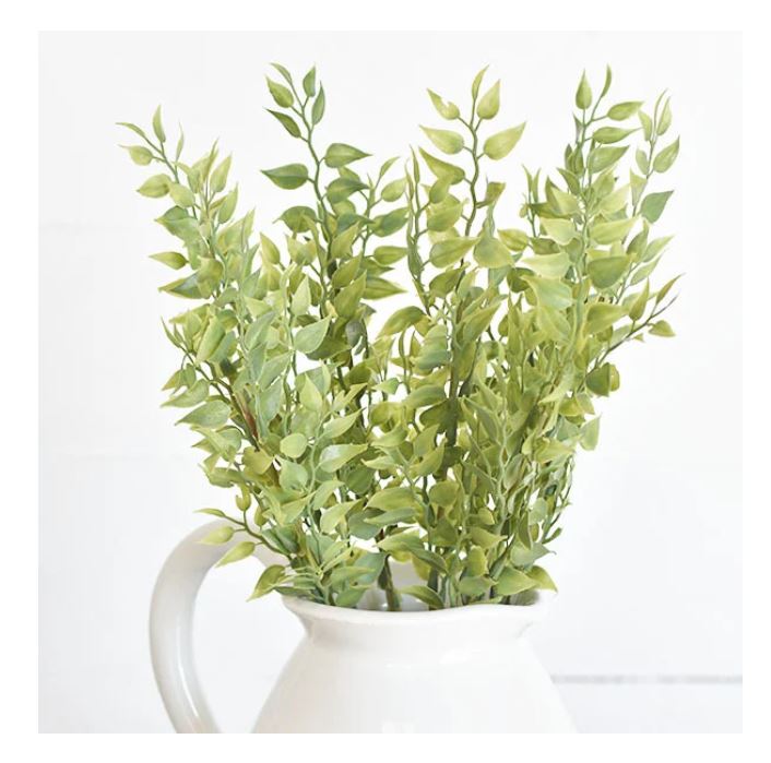 Spring Leaf Bush