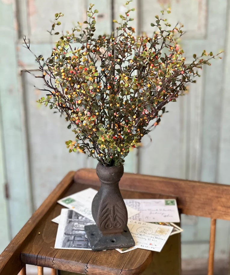 Bittersweet Bush