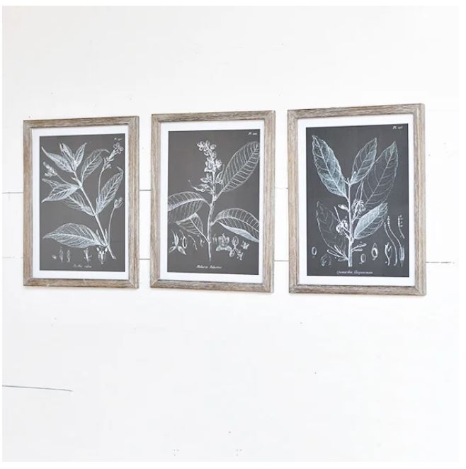 Assorted Botanical Print