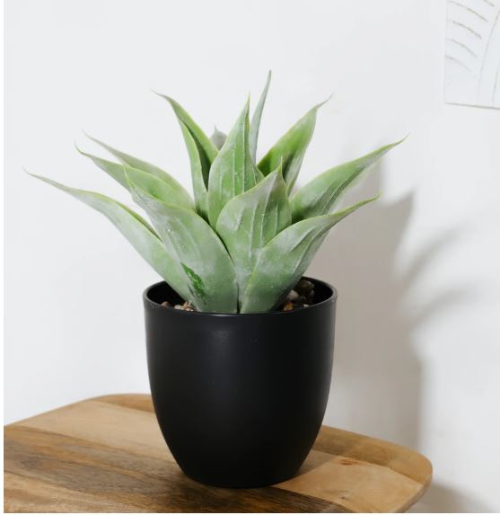 Faux Agave Plant